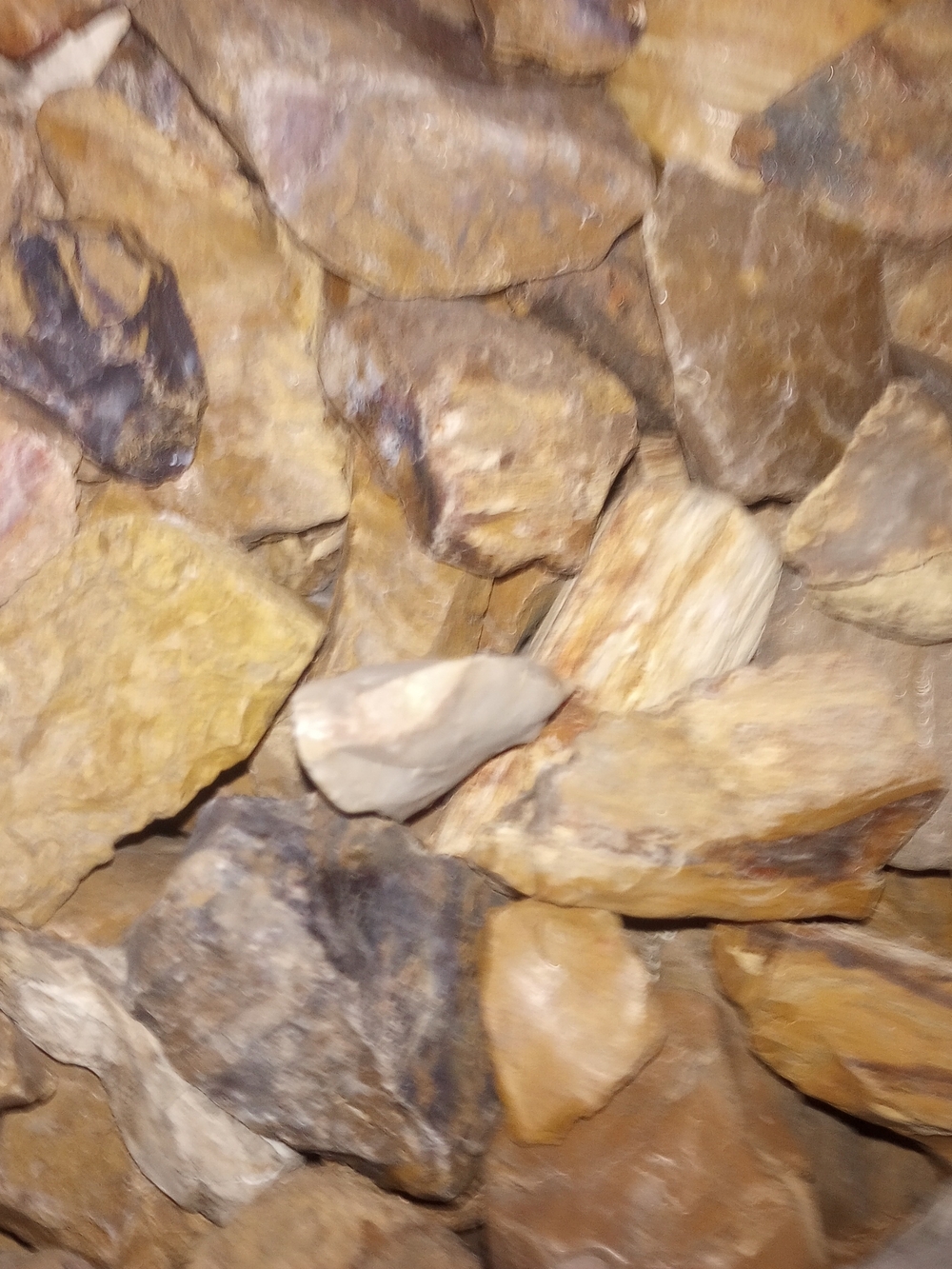 Raw Petrified Wood And Agate 1lb - Picture 5 of 10